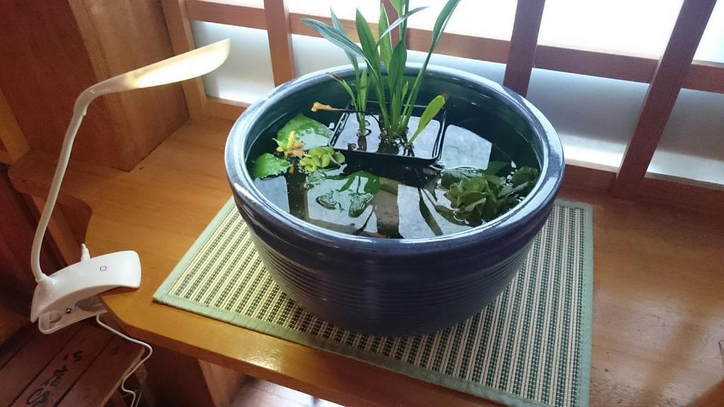 Onyado Hishiya Torazo Hotell Yamanouchi  Exteriör bild